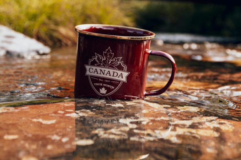 Software Developer Jobs in Canada with Visa Sponsorship